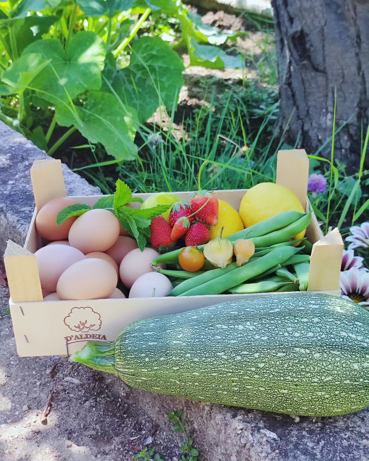 Cabaz de madeira com ovos, morangos, limão, feijão-verde e courgette.