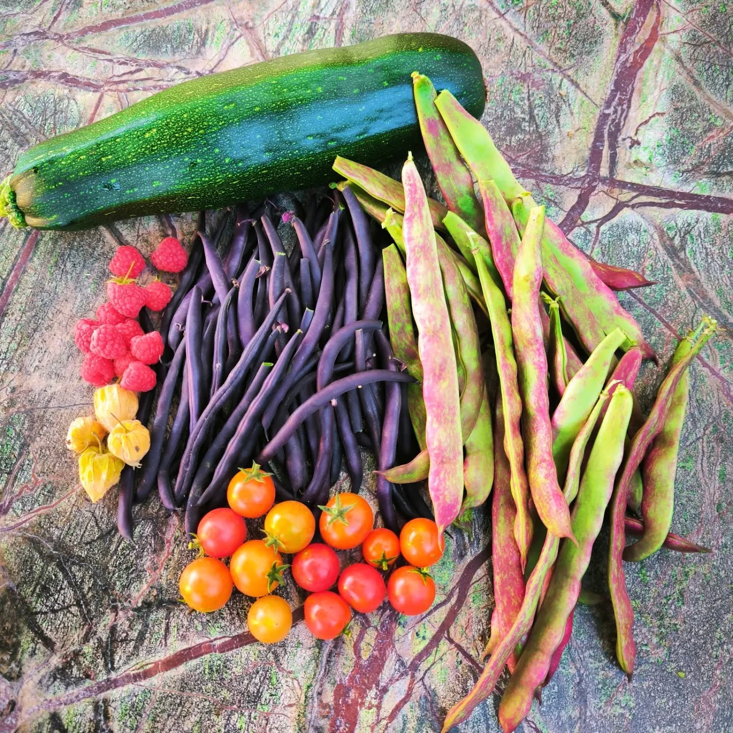 Colheita variada: courgette, tomates cherry, framboesas, feijão e physalis.